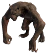 Bloodmoon Werewolf