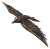 Dune Eagle