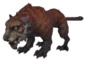 Mountain Tiger