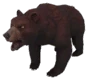 Grizzly Bear
