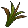 Starleaf