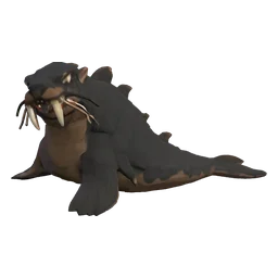 Wild Sea Lion