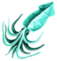 Jadeink Squid