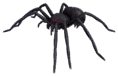 Rein Spider