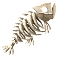 Bleached Fishbones