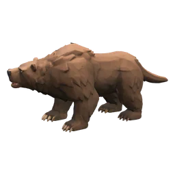 Brown Bear