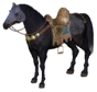 Dark Horse