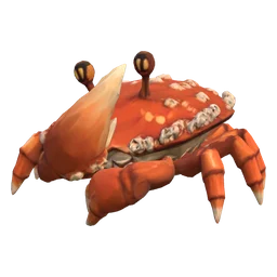 Reef Crab