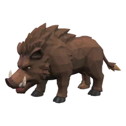 Wild Boar
