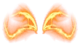 Wings of the Light