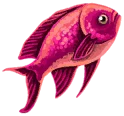 Coralbloom Sunfish