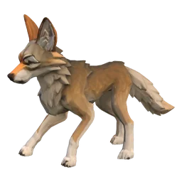 Cliff Coyote