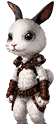 Baby Rabbit