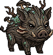 Boar