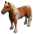 Chestnut Pony