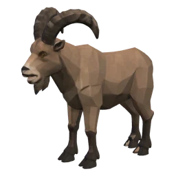 Wild Goat