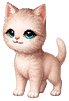 Baby Cat