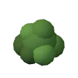 Bush · green