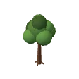 Tree · oak