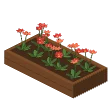 Flower bed · red flowers