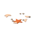 Shells and starfish · pink shells