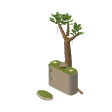 Tree shrine · green leaves