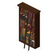 Tall bookcase with ladder · dark wood