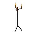 Iron torch stand · fire