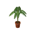 Potted palm · clay pot