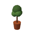 Tall plant · clay pot