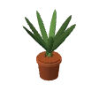 Potted fern · clay pot