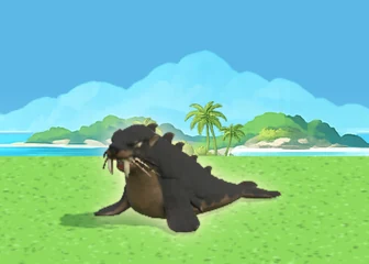 Wild Sea Lion