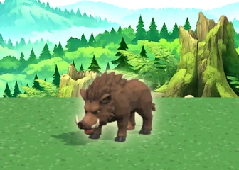 Wild Boar · Forest